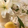 51-pour-femme-parfum (5).webp