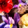 a-goodnight-kiss-parfum (4).webp