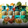 azure_lime_eau_de_parfum_50ml_4_loc07HWzTL.webp