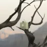 existence (4).webp