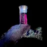 ile-pourpre-50ml (7).webp