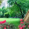 madison_square_park_eau_de_parfum_2_UsgSzgiYGM.webp