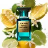 neroli_portofino_eau_de_parfum_100ml_2_7V1AVw7fhN.webp