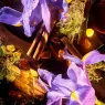 roja-haute-luxe-parfum (4).webp